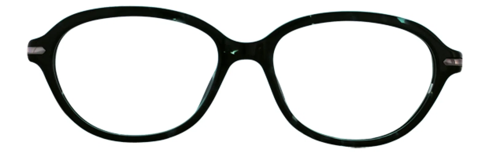 Leon Max LM4025 Eyeglasses - view 5
